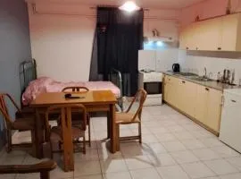 Petros Studios mastixa