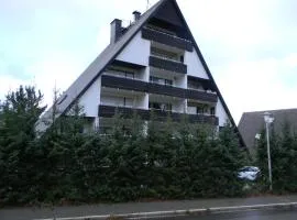 Schönwald Schwarzwaldhäuser Apartment 7