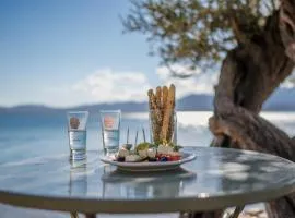A Luxury Seafront Villa with amazing ambience and view
