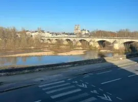 Cosy Loire, T2 neuf, front de Loire ,vue cathédrale,5min à pied centre ville et parking privé