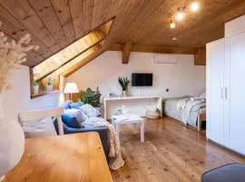 APARTMENT KLAGENFURT Landhaus Wulfenia - with Free Parking, Sauna, Smart-TV and Air Conditioning