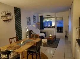 Studio avec petit balcon et cheminée - Grand Massif