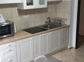 Apartament La Vivi