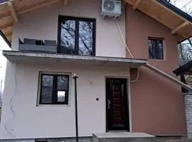 Stari kedar