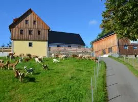 Ferienhaus Alpaka Glück