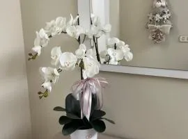 Casa vacanze l’orchidea