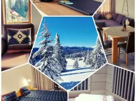 BOGI SPA Apartment Pamporovo