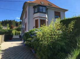 Les magnolias en Alsace - meublé de tourisme 3 étoiles，位于Barembach的酒店