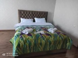 Rustavi guest house
