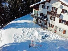 Chalet 5 stars in San Bernardino, SKI SLOPES AND HIKING, Fireplace, 4 Snowtubes Free, Wi-Fi Free, for 8 persons, Wonderful in all seasons, hotell sihtkohas San Bernardino huviväärsuse San Bernardino Pass lähedal