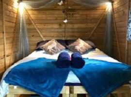 Woodland Glamping Cabin, camping en Hatherleigh