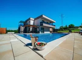 Villa Viktoria with private pool, barbecue, gym, children's playground