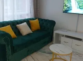 Hipsonic Studio Apartment RaceCourse Gardens