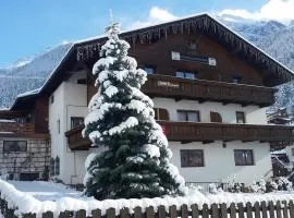 Alpensport Appartement Stubai - Tannenheim