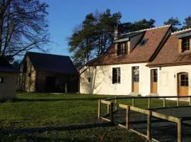 Fermette charmante, nature préservée, forêt de Bercé, détente, cheminée, grand jardin, proche Le Mans - FR-1-410-210