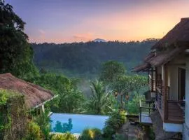 Infinity Jungles View Private Villas