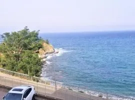 Appartement T3 à Banyuls, climatisé, proche plage - FR-1-309-281