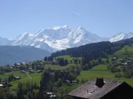 Charmant 2 pièces au centre de Combloux avec vue Mont Blanc - FR-1-560-9