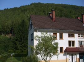 Haus Post, hotel amb aparcament a Todtnau