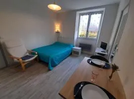 Studio cosy avec Wi-Fi à 50m du centre, proche des Thermes - La Roche-Posay - FR-1-541-56