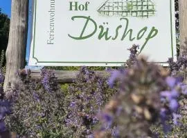 Hof Düshop