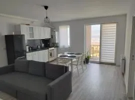 Nordic style Apartaments Floresti