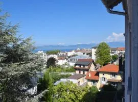 Appartement Évian-les-Bains, 4 pièces, 6 personnes - FR-1-498-48