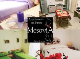 Appartamento per Turisti Mesovia，聖塞韋里娜的飯店