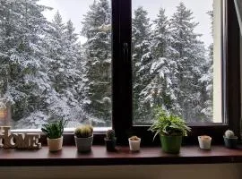 Pine Tree Apartment / Borovets Gardens