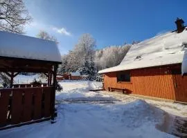 Domek Sienna 1a Czarna Góra