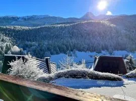 Chalet confortable dans le Vercors - FR-1-515-28