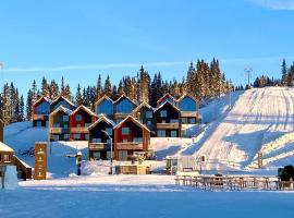 New ski in-out apartment with sauna in Hafjell, location de vacances à Øyer