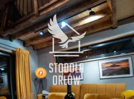 Stodoła Orłów - Domek loftowy na wyłączność z tarasem i zadaszonym klimatycznym jacuzzi