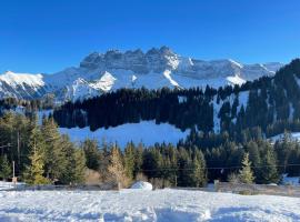 Mountain River Appart, serviced apartment in Val dʼIlliez