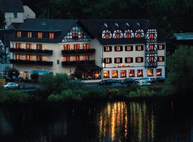 Moselhotel & Restaurant Zur Traube GmbH，勒福   ö的飯店