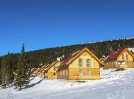 Chalet in Carinthia with Sauna near Ski Slopes