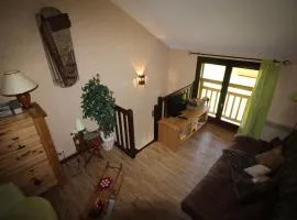 Triplex confort à 400m des pistes, 3 niveaux, 2 chambres, casier à skis, parking gratuit, Auris en Oisans - FR-1-297-66