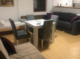 Apartman Petrovic- 300m od gondole, hotel in Brzeće