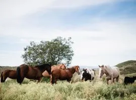 Estancia Acuarela del Río