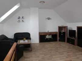 Apartmán Rapotín, Jesenická 296, 3km od Termálního parku Velké Losiny
