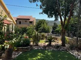 צימרים בצפון וסביב כרמיאל בצפון-Amoresכרמיאל והסביבה