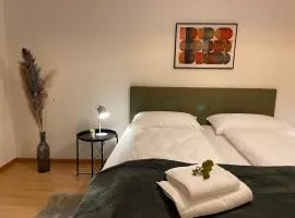 Comfort 1 and 2BDR Apartment close to Zurich Airport