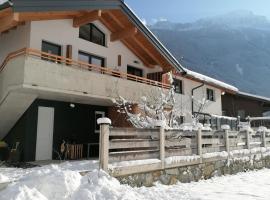 Bergblick Apartment, Hotel mit Parkplatz in Wald im Pinzgau