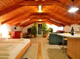 AJO Apartments - Alte Donau Lake View Penthouse - Self-Check-in