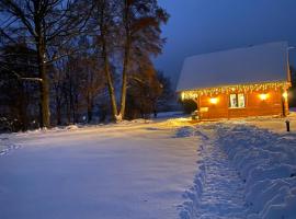 Poleskie zacisze, domek czapla na wyłączność, kominek, balia,sauna, hotel in Helenin
