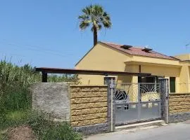 Detached house with garden