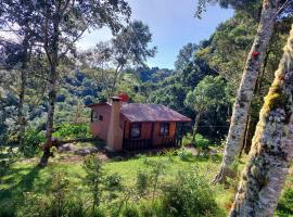 Las Bromelias Lodge, cabin in Paso Macho