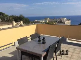 Blue Room Shared House Terrace above