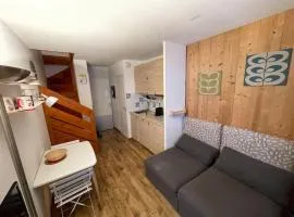 Duplex cosy 4 personnes au pieds des pistes