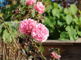 Ferienwohnung Pickl - Anna-Maria Pickl, hôtel à Anger